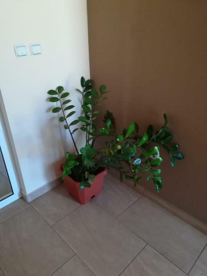 Laura Apartment Bibinje Ngoại thất bức ảnh
